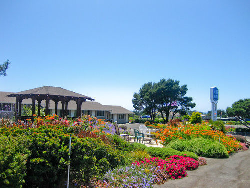 Surf Motel And Gardens Fort Bragg Exterior foto